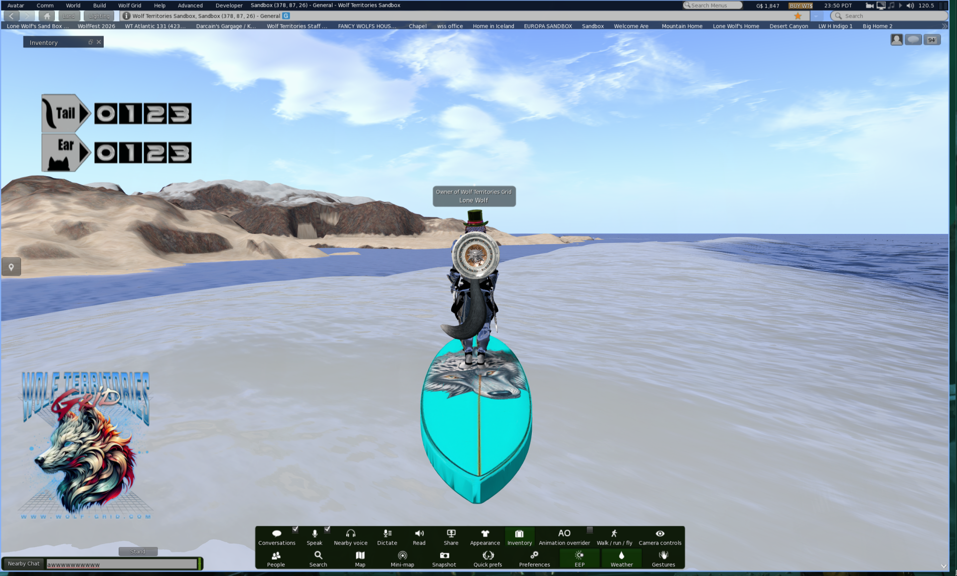 An avatar surfing in a virtual world near a beach with a surfboard featuring a wolf logo