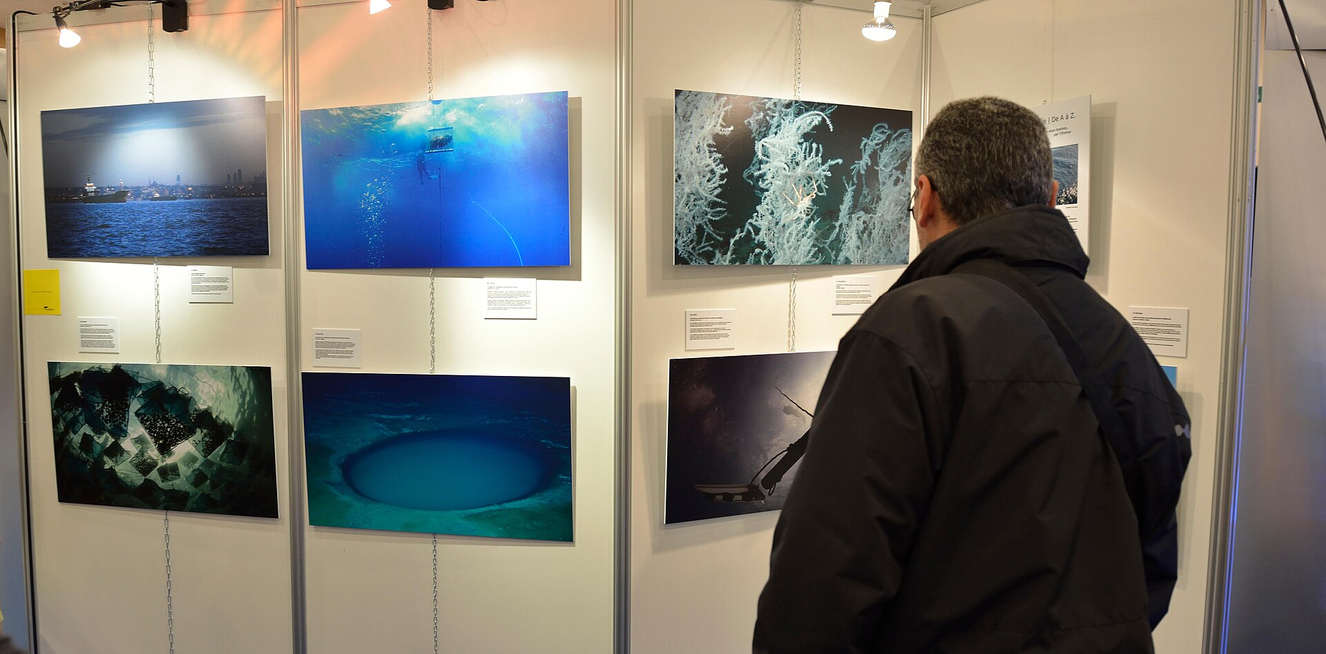 Festival Mondial de l'Image Sous-Marine 2014 - Stand de l'Ifremer (Ifremer 00739-85105 - 41634)